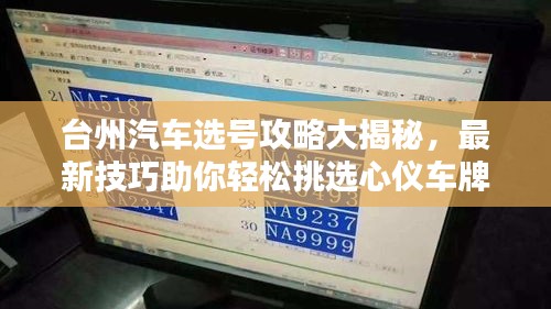 臺州汽車選號攻略大揭秘,最新技巧助你輕松挑選心儀車牌!