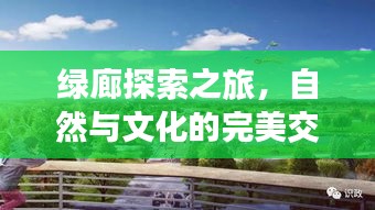 百鳥齊鳴 第3頁
