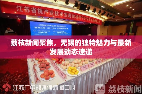 荔枝新聞聚焦,無錫的獨特魅力與最新發(fā)展動態(tài)速遞