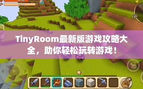 TinyRoom最新版游戲攻略大全，助你輕松玩轉游戲！