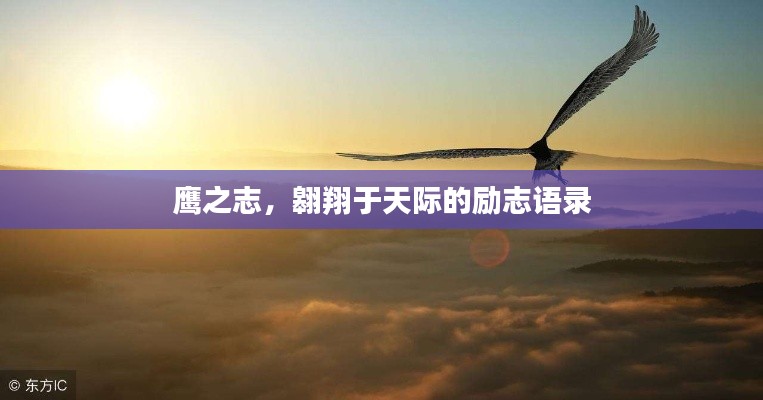 鷹之志,翱翔于天際的勵志語錄