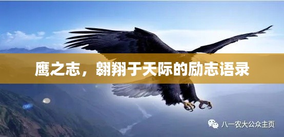 鷹之志,翱翔于天際的勵志語錄