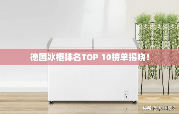德國冰柜排名TOP 10榜單揭曉!