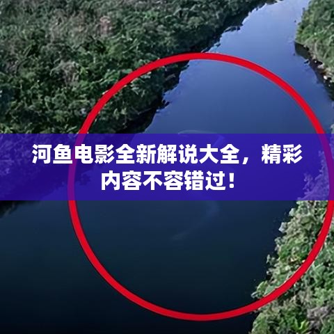 河魚電影全新解說(shuō)大全,精彩內(nèi)容不容錯(cuò)過(guò)!