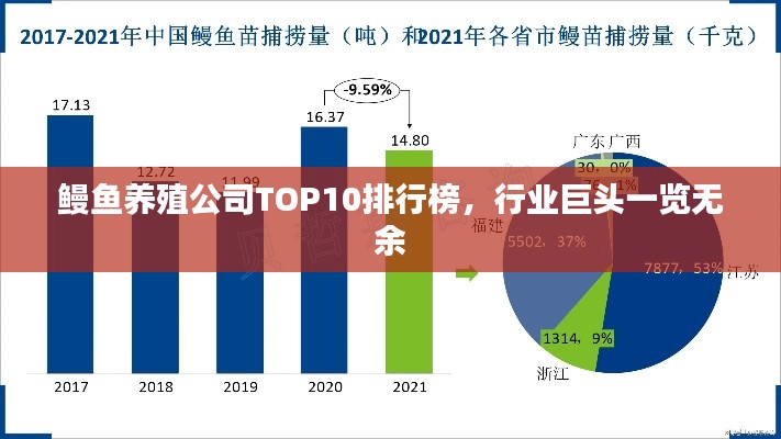 鰻魚養殖公司TOP10排行榜,行業巨頭一覽無余