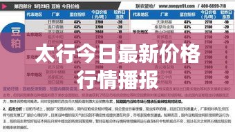 太行今日最新價格行情播報