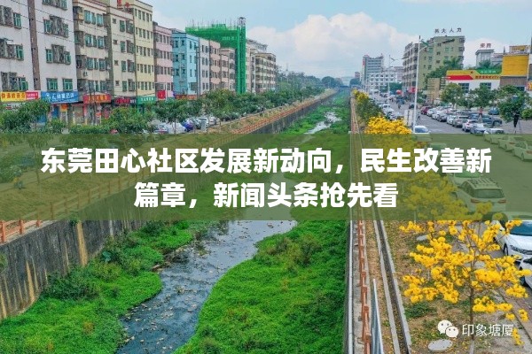 東莞田心社區發展新動向,民生改善新篇章,新聞頭條搶先看