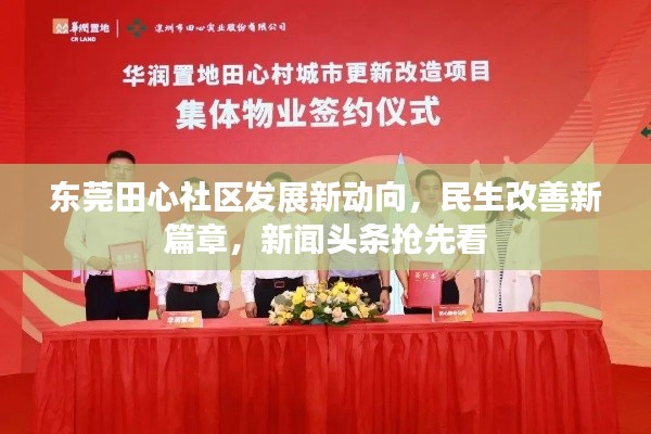 東莞田心社區發展新動向,民生改善新篇章,新聞頭條搶先看