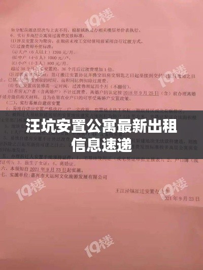 汪坑安置公寓最新出租信息速遞