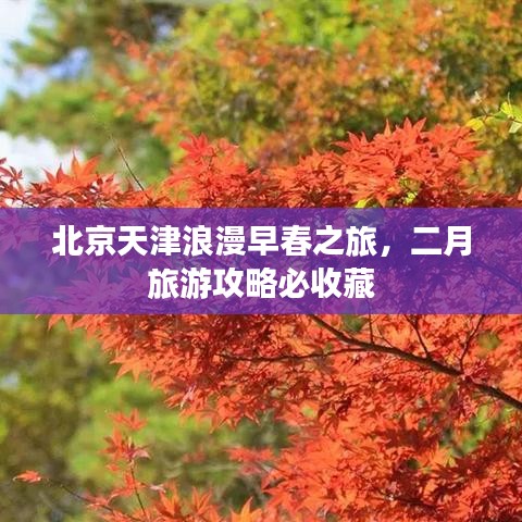 北京天津浪漫早春之旅,二月旅游攻略必收藏