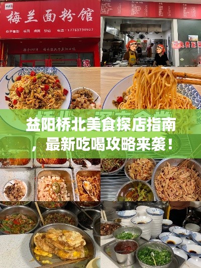 益陽橋北美食探店指南,最新吃喝攻略來襲!
