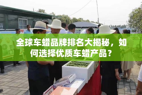 全球車蠟品牌排名大揭秘,如何選擇優質車蠟產品?