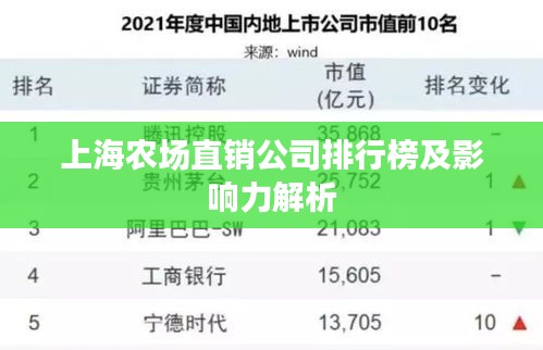 上海農場直銷公司排行榜及影響力解析