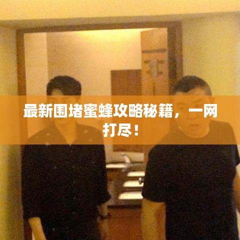 最新圍堵蜜蜂攻略秘籍,一網(wǎng)打盡!