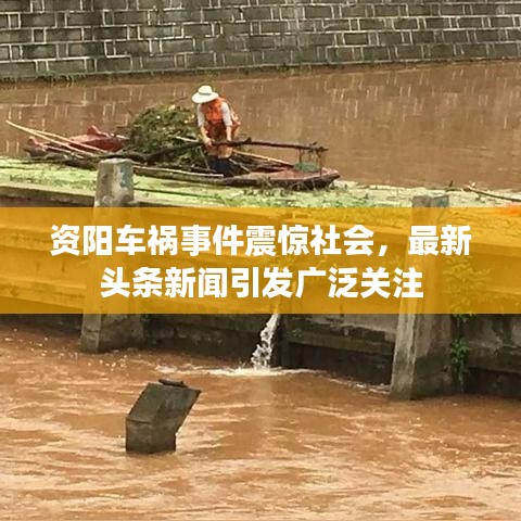資陽車禍事件震驚社會,最新頭條新聞引發廣泛關注