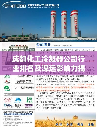 成都化工冷凝器公司行業排名及深遠影響力揭秘