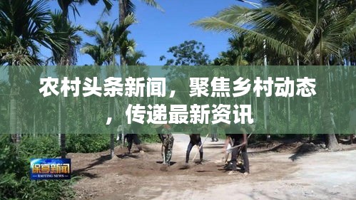 農村頭條新聞,聚焦鄉村動態,傳遞最新資訊