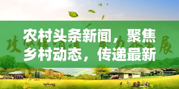 農村頭條新聞,聚焦鄉村動態,傳遞最新資訊