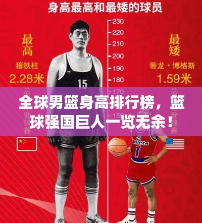 全球男籃身高排行榜,籃球強國巨人一覽無余!
