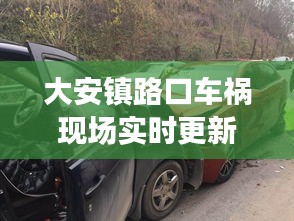 大安鎮(zhèn)路口車禍現(xiàn)場實時更新，事故最新進展曝光