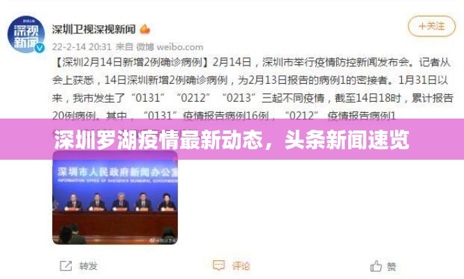 深圳羅湖疫情最新動態(tài),頭條新聞速覽