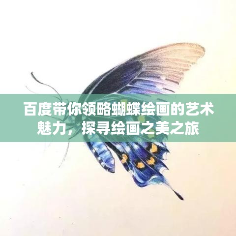 百度帶你領略蝴蝶繪畫的藝術魅力,探尋繪畫之美之旅