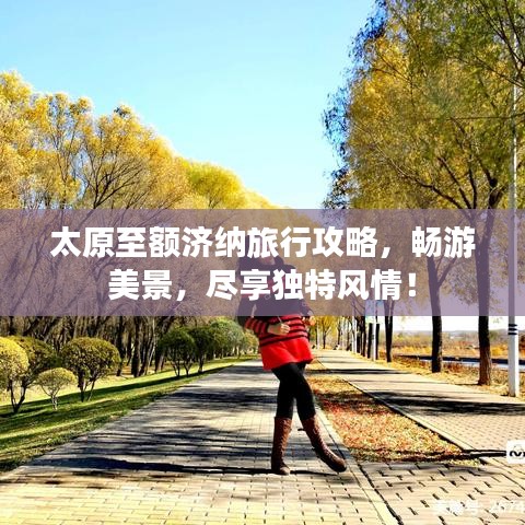 太原至額濟納旅行攻略,暢游美景,盡享獨特風情!