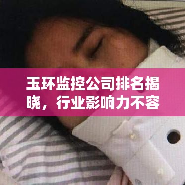 玉環監控公司排名揭曉,行業影響力不容小覷