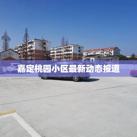 嘉定桃園小區(qū)最新動態(tài)報道