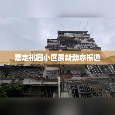 嘉定桃園小區最新動態報道