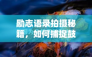 勵志語錄拍攝秘籍,如何捕捉鼓舞人心的瞬間?