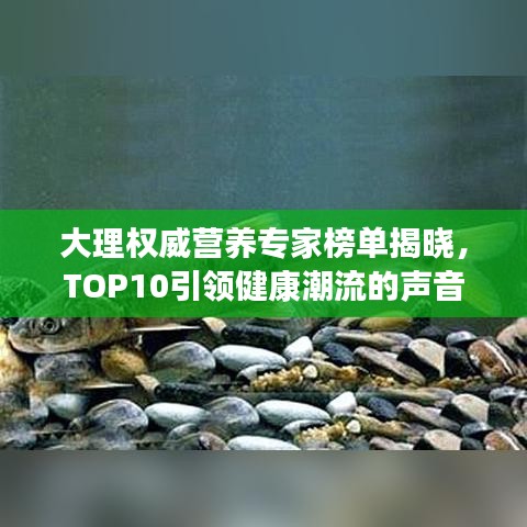 大理權威營養專家榜單揭曉,TOP10引領健康潮流的聲音