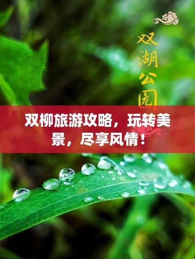雙柳旅游攻略,玩轉美景,盡享風情!