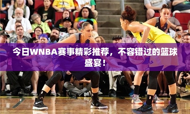 今日WNBA賽事精彩推薦,不容錯過的籃球盛宴!