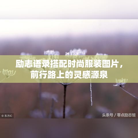 勵志語錄搭配時尚服裝圖片,前行路上的靈感源泉