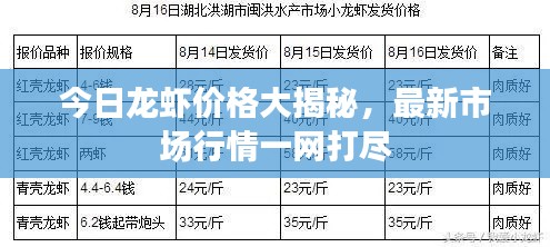 今日龍蝦價格大揭秘,最新市場行情一網打盡