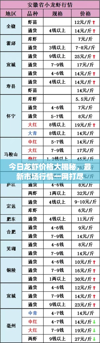 今日龍蝦價格大揭秘,最新市場行情一網打盡