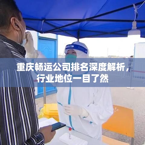 重慶暢運公司排名深度解析,行業地位一目了然