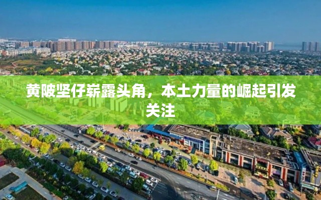 黃陂堅仔嶄露頭角,本土力量的崛起引發(fā)關注