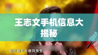王志文手機信息大揭秘