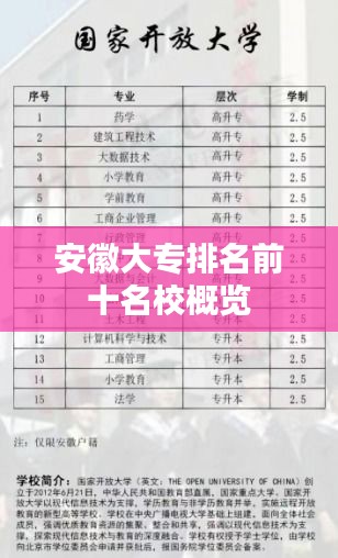 安徽大專排名前十名校概覽