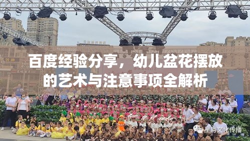 百度經(jīng)驗(yàn)分享,幼兒盆花擺放的藝術(shù)與注意事項(xiàng)全解析