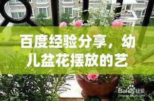 百度經驗分享,幼兒盆花擺放的藝術與注意事項全解析