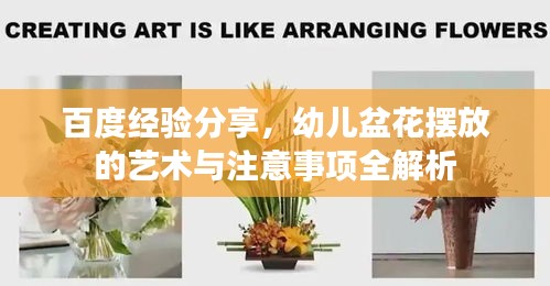 百度經驗分享,幼兒盆花擺放的藝術與注意事項全解析