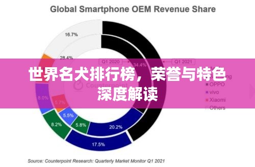 世界名犬排行榜,榮譽(yù)與特色深度解讀