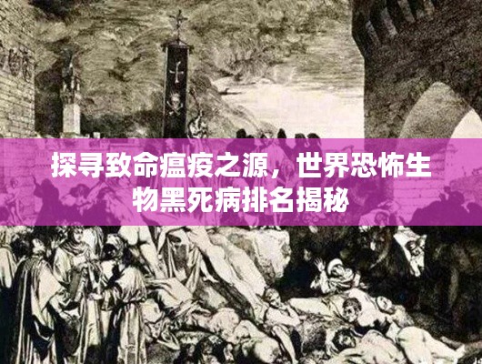 探尋致命瘟疫之源,世界恐怖生物黑死病排名揭秘