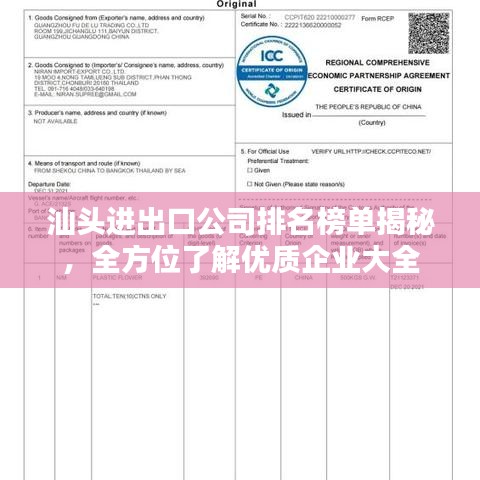 汕頭進出口公司排名榜單揭秘,全方位了解優(yōu)質(zhì)企業(yè)大全