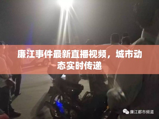 廉江事件最新直播視頻,城市動態實時傳遞