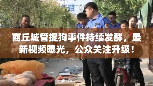 商丘城管捉狗事件持續(xù)發(fā)酵,最新視頻曝光,公眾關注升級!