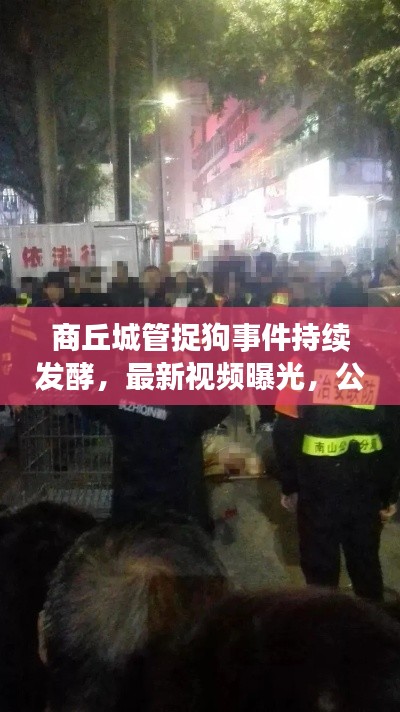 商丘城管捉狗事件持續發酵,最新視頻曝光,公眾關注升級!